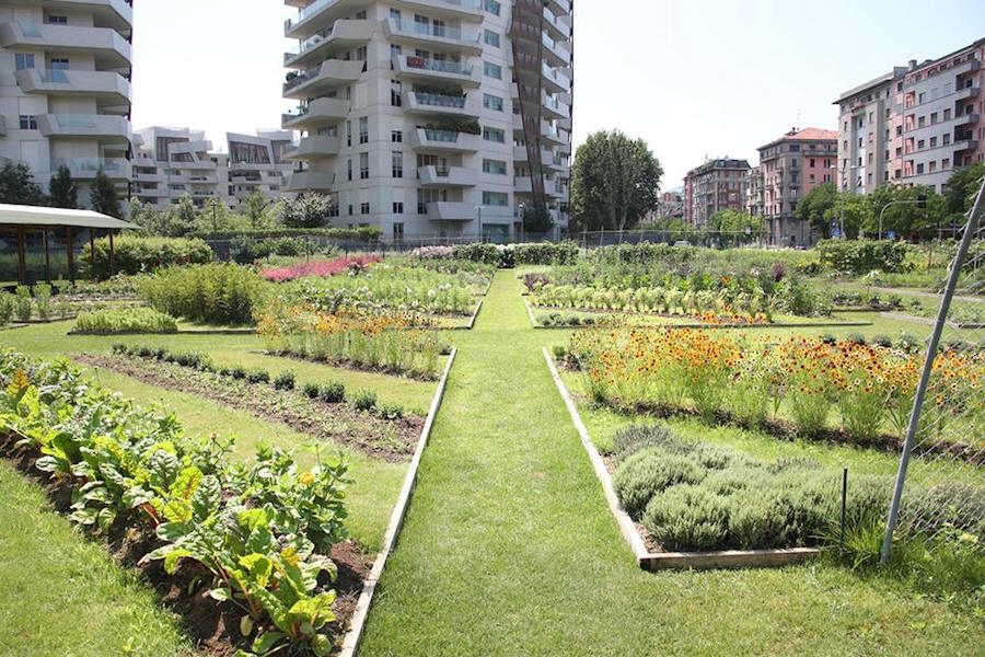 Orti Fioriti a CityLife